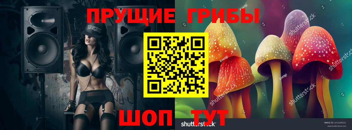 Псилоцибиновые грибы GOLDEN TEACHER Зеленогорск